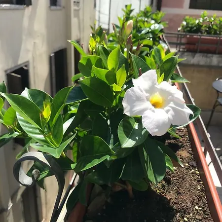 桑萨穆埃莱威尼斯公寓 * 威尼斯