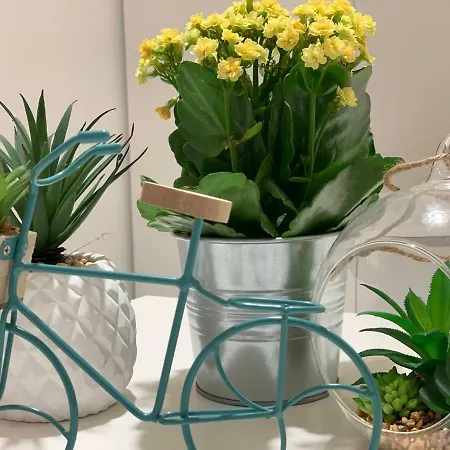 Apartamento San Samuele