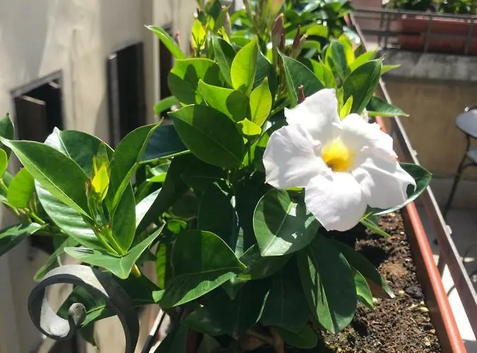 San Samuele * Βενετία